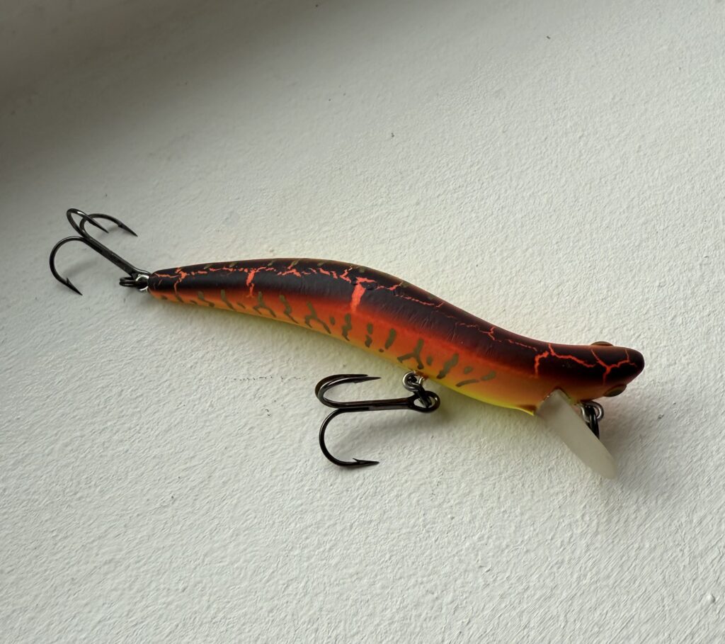 Sick Fish 9.5cm / 12g   #88052